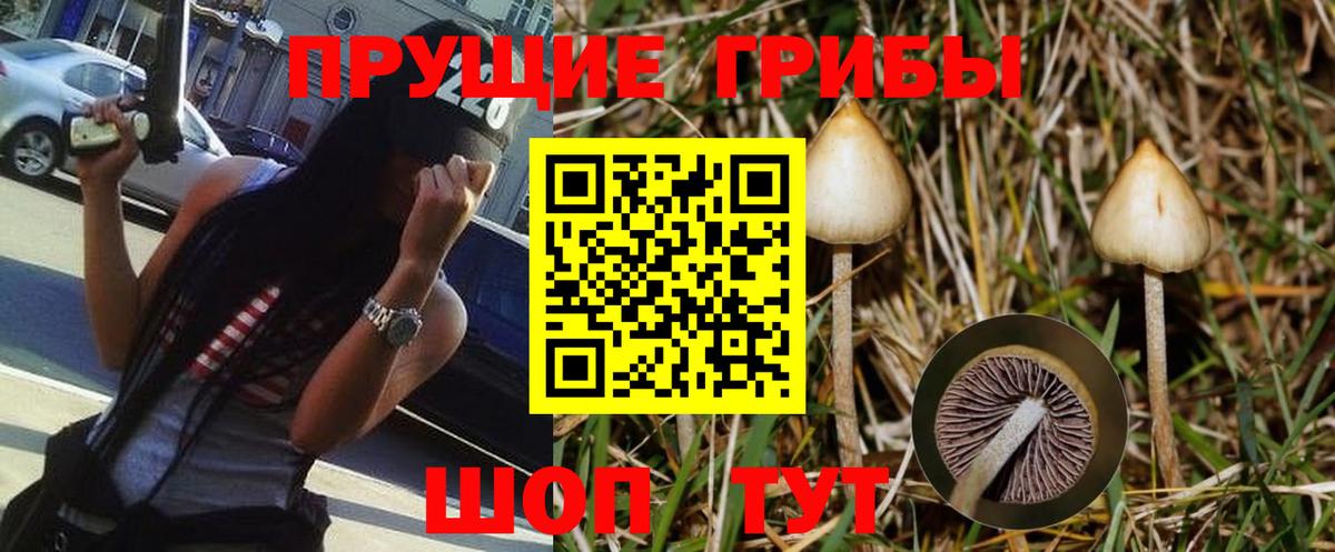 Псилоцибиновые грибы Magic Shrooms Электросталь