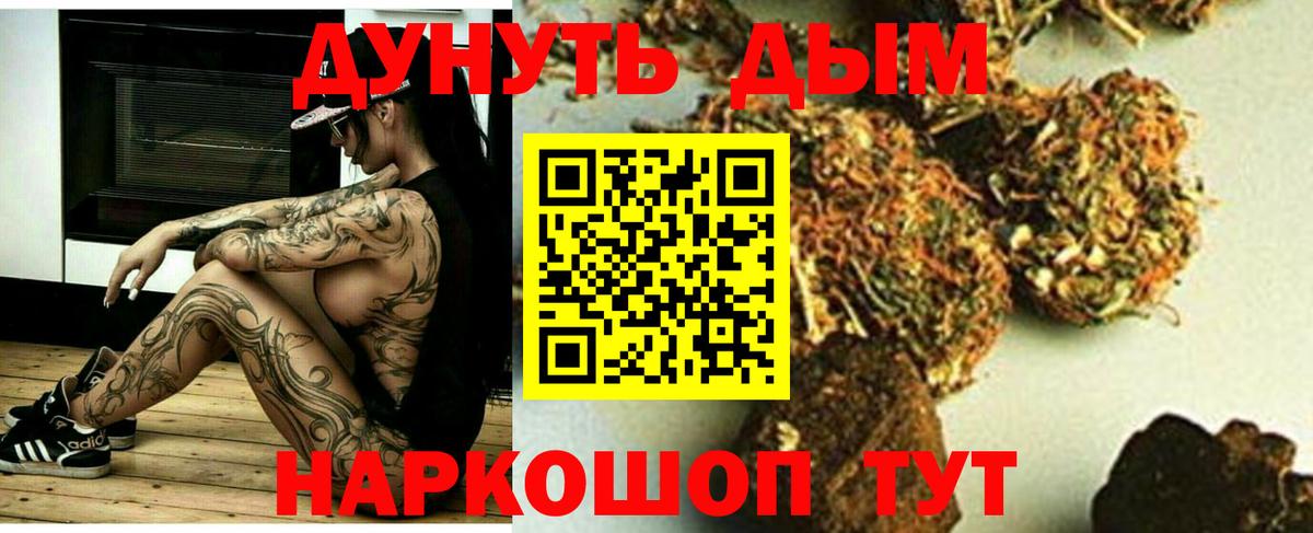 Конопля гибрид  Конопля планчик  Конопля сатива  Бошки Шишки сатива  Электросталь  Вход с VPN 